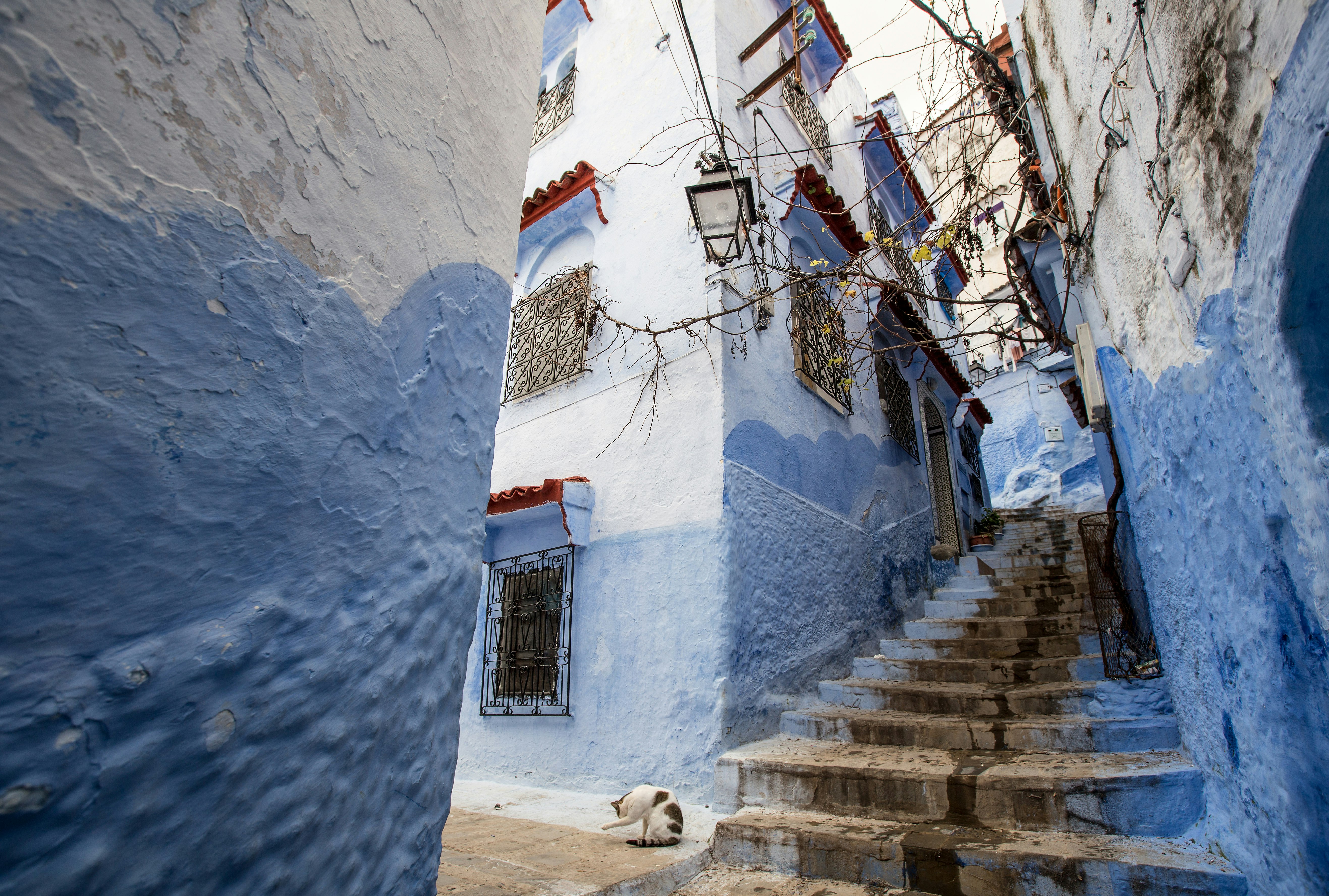 white and blue-painted concrete structure